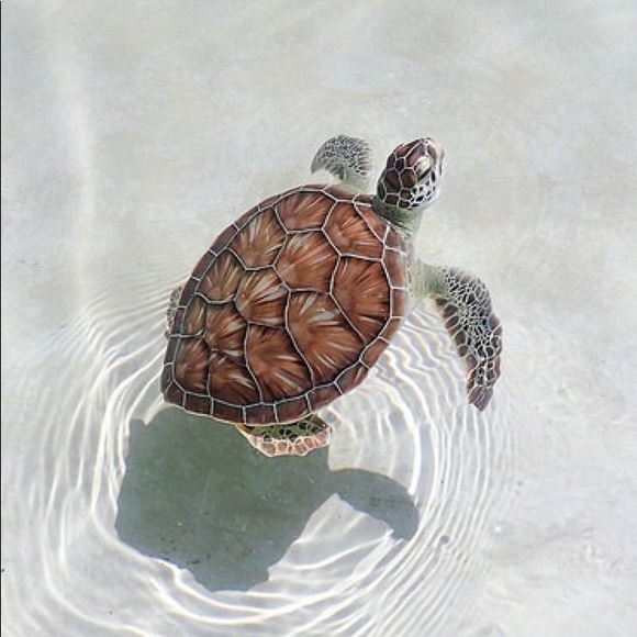 Meet your Posher, brynlee - Picture 4 of 10